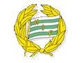 Hammarby (nữ)